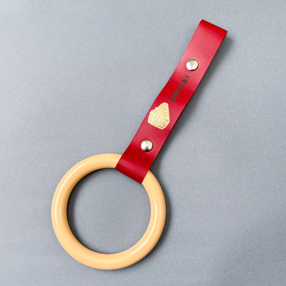 Tenryu Hamanako Tsurikawa