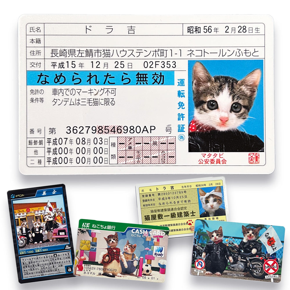 Nameneko Drivers License &  Parody Cards Set C