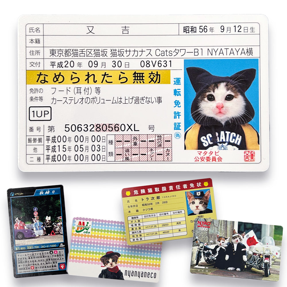 Nameneko Drivers License &  Parody Cards Set E