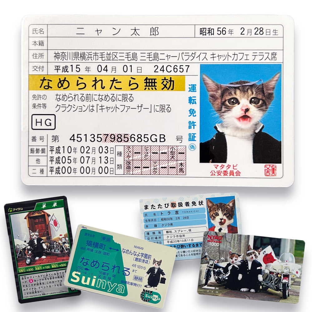 Nameneko Drivers License &  Parody Cards Set B