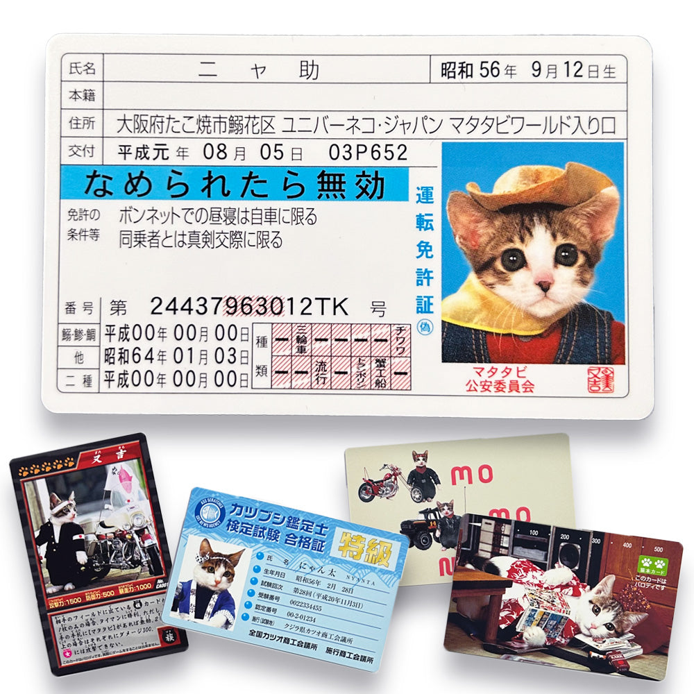 Nameneko Drivers License &  Parody Cards Set A